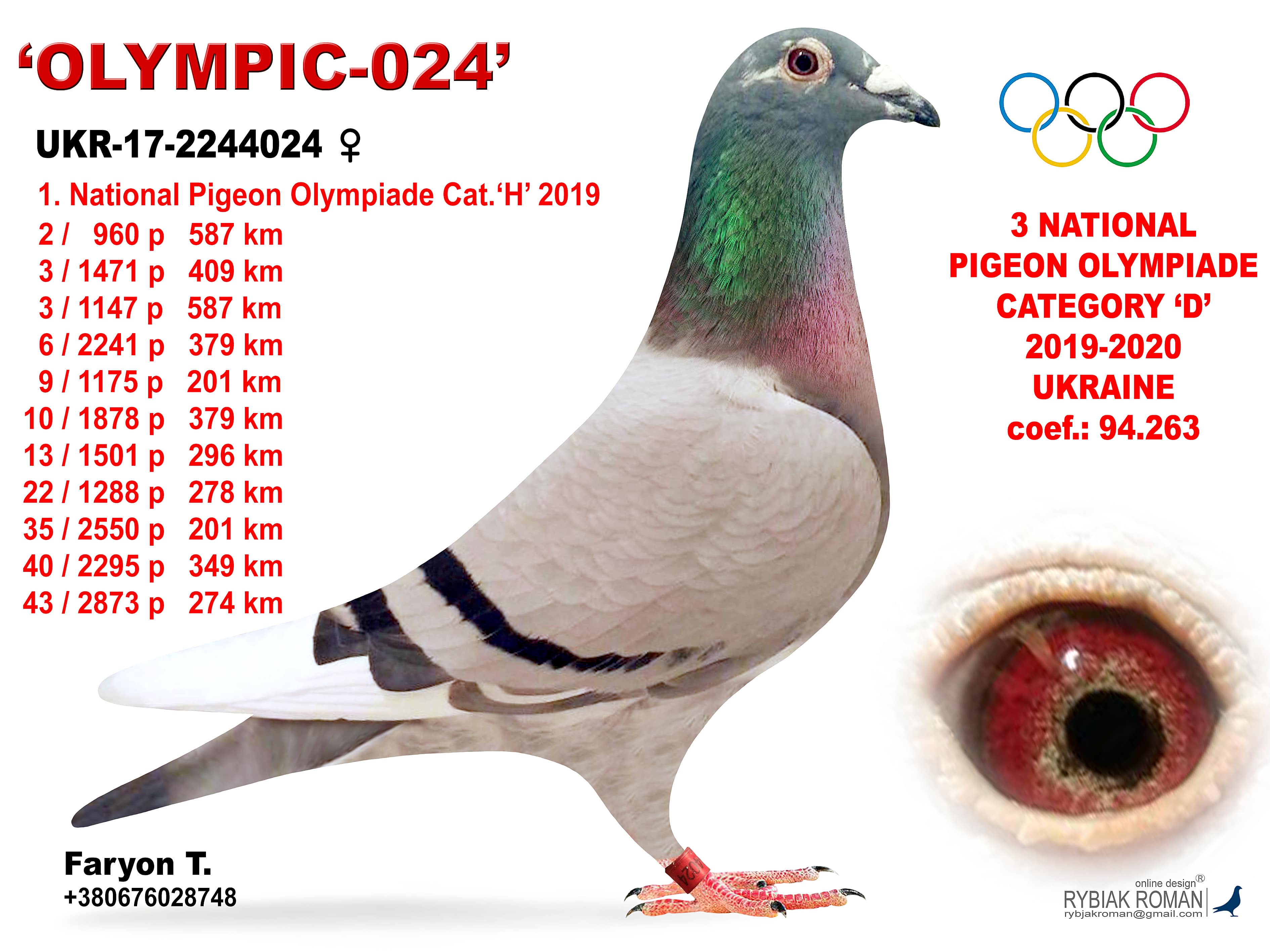 2020-D3